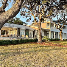 Revitalize-Your-Landscape-Major-Cleanup-Pinestraw-Perfection- 8